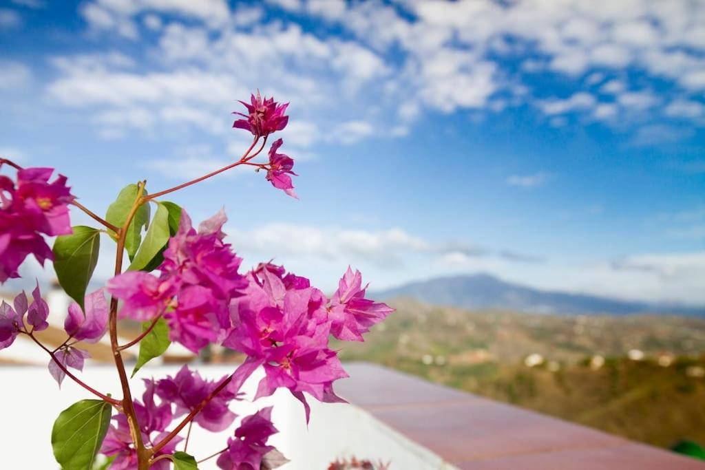 Rooftop Terrace & Panoramic Mountain View'S Villa Cutar ภายนอก รูปภาพ